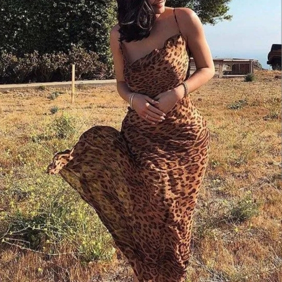 Sheer Leopard Print Maxi Dress - Picture 9 of 10